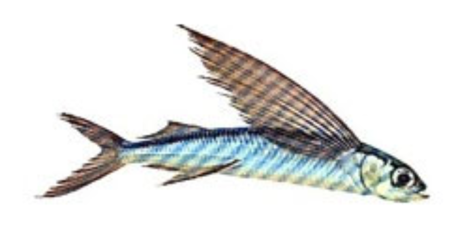 Le
séminaire Pharmakon en hypertexte - 2014